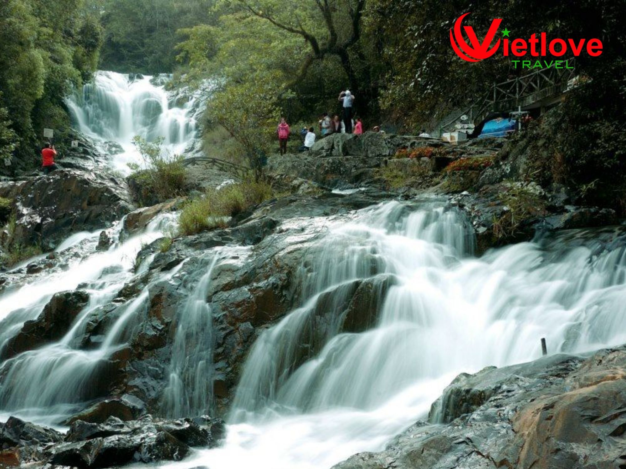 vietlovetour.com