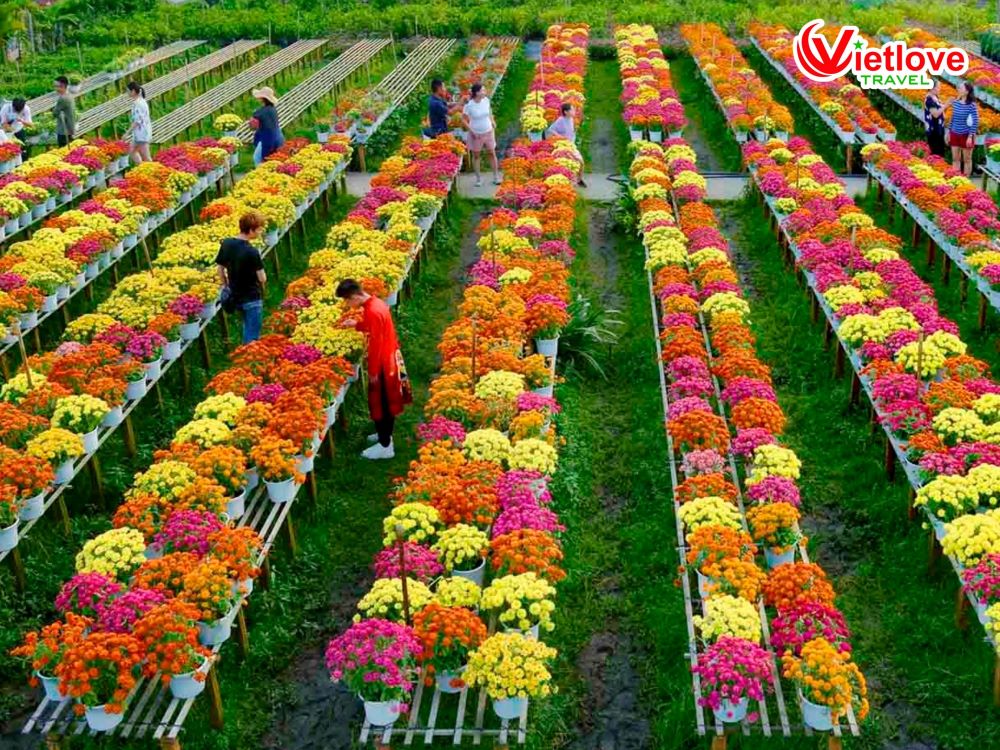 vietlovetour.com