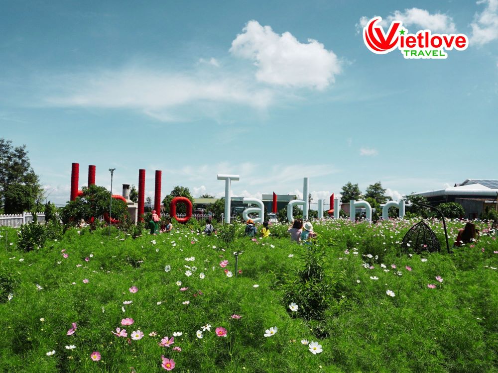 vietlovetour.com