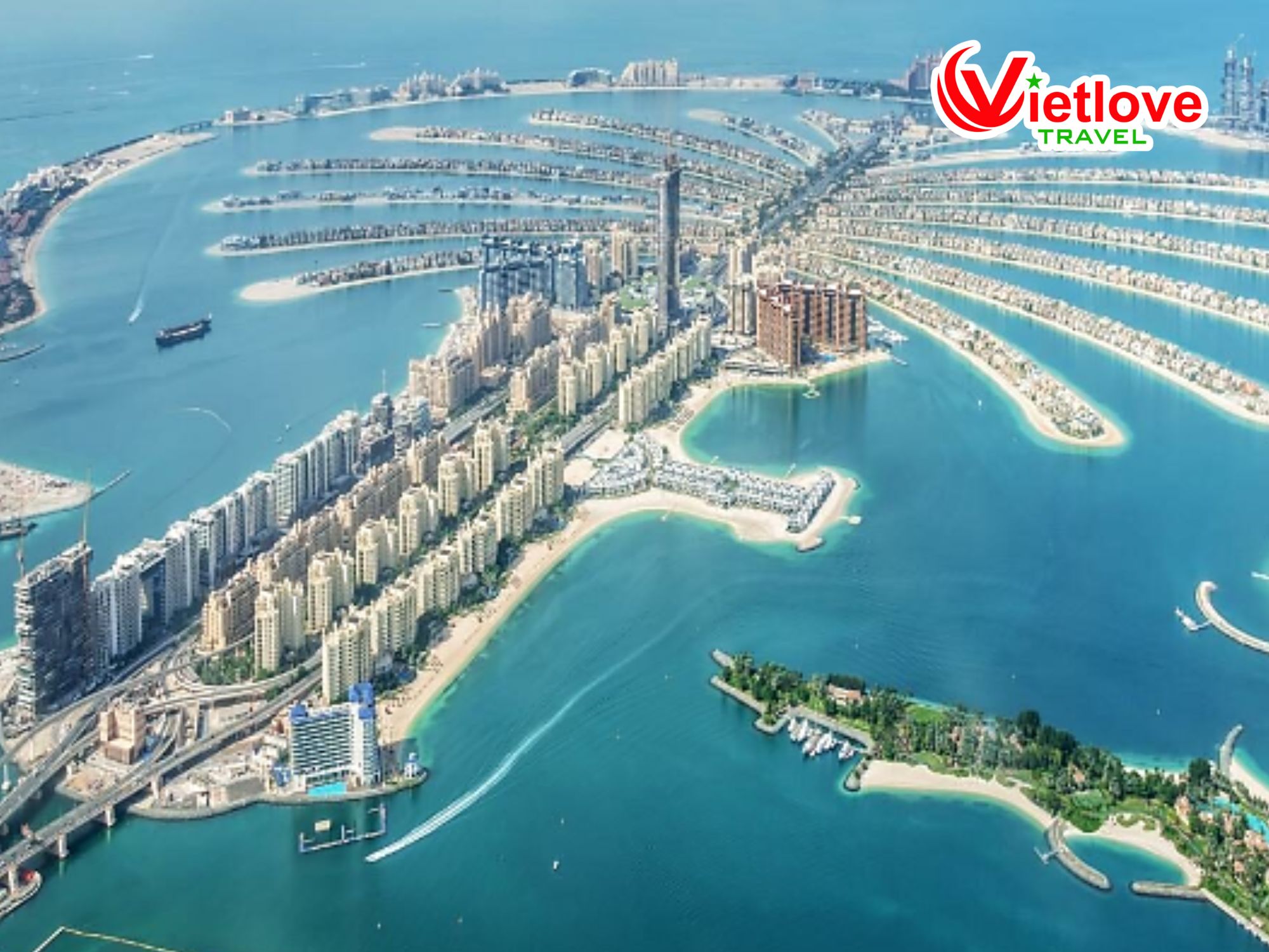 vietlovetour.com