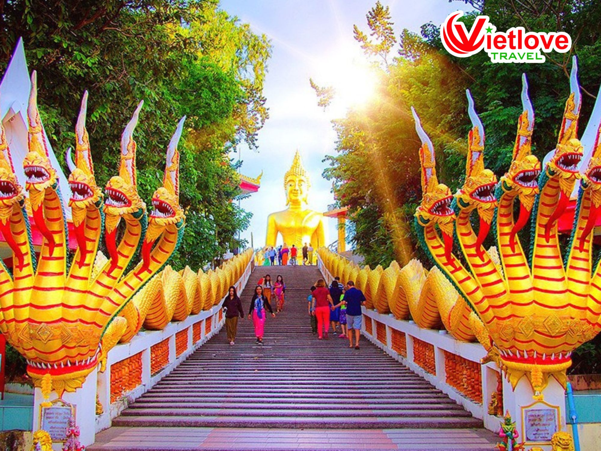 vietlovetour.com