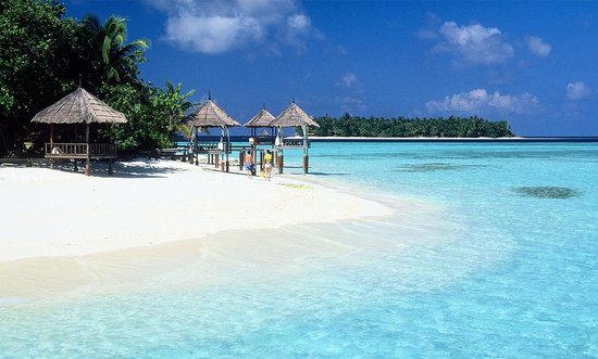vietlovetour.com