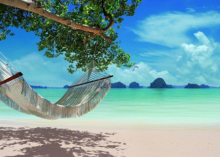 vietlovetour.com