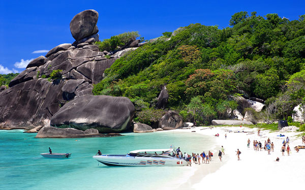 vietlovetour.com